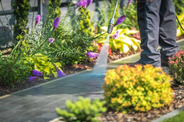 Trusted Townsend, DE Pressure Washing Services Experts