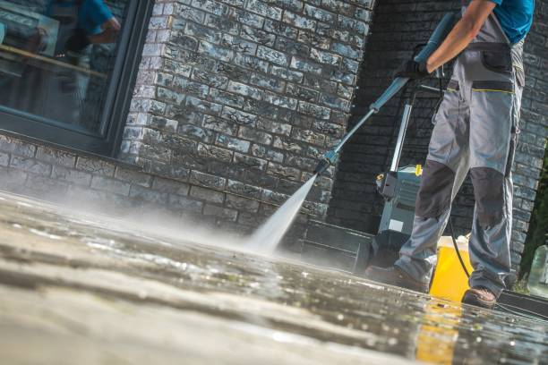 Best House Exterior Washing  in Townsend, DE